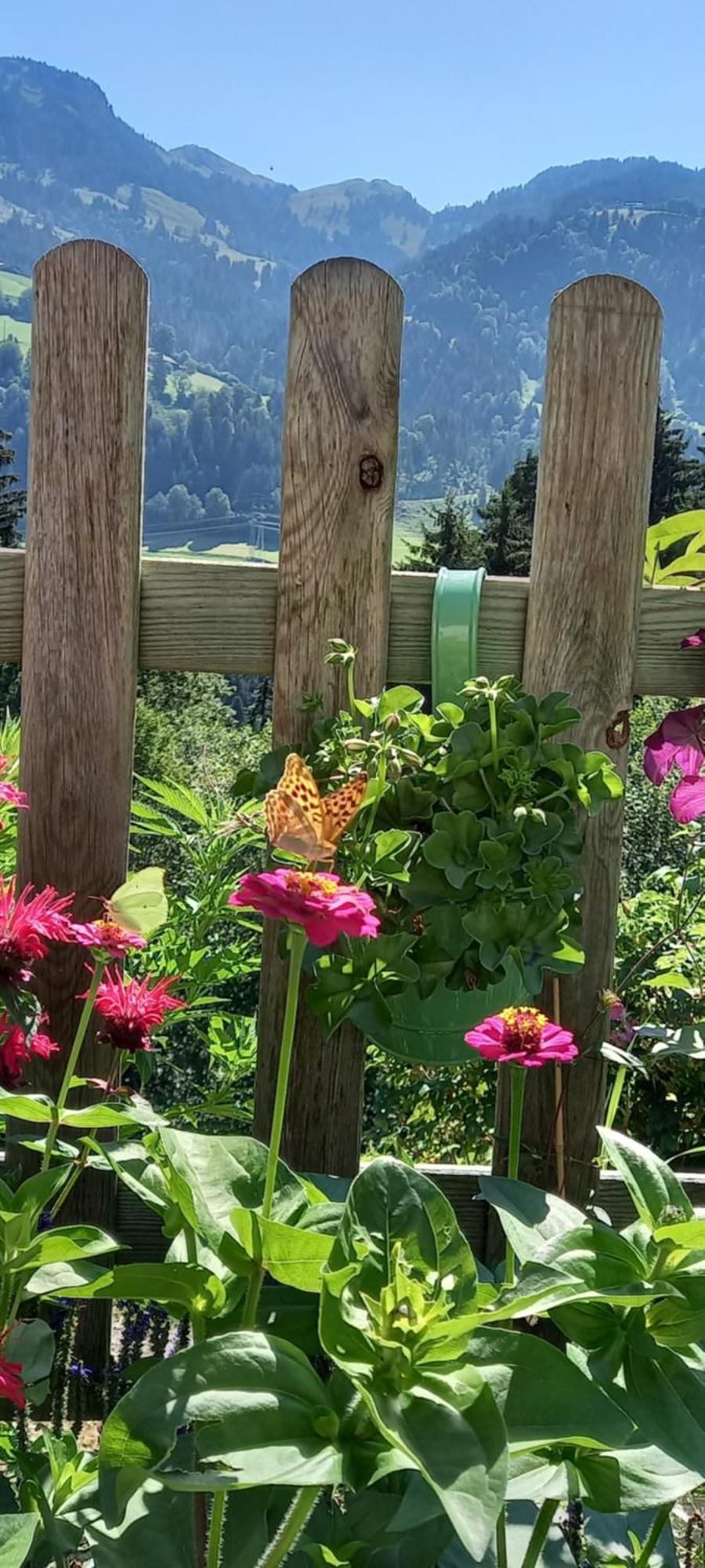 Apartamento Filzenhof Kitzbühel Exterior foto